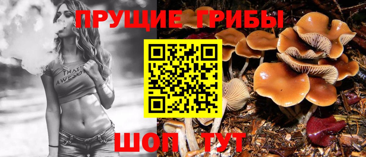 Псилоцибиновые грибы мухоморы  Вход с VPN  Северобайкальск 